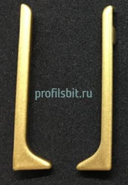 Алюминиевые заглушки для плинтуса Евротрим L-60 комплект золото