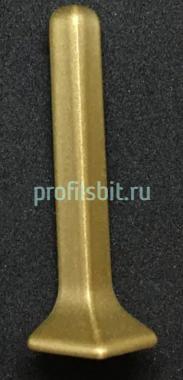 Алюминиевый уголок внешний для плинтуса Евротрим L-80 золото