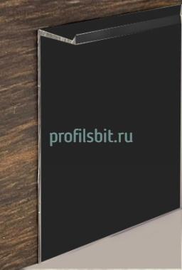 Плинтус алюминиевый для гипсокартона 60 мм ПТ-1/60 ЭКО черный 3 м