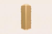 Алюминиевый уголок внешний для плинтуса Евротрим F-100 2642.00 золото