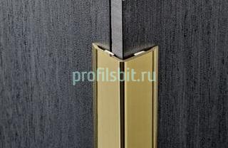 Уголок отделочный из латуни Progress PEGOL 20А 20х20 полированный 2,7 м